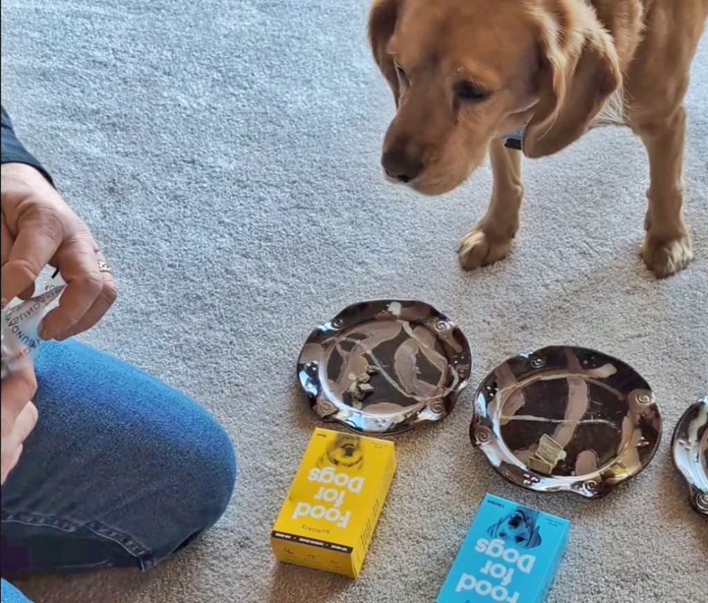 Mickey, our picky eater, trying Sundays for Dogs